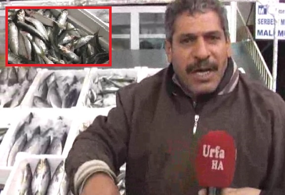 2 Milyonluk Urfa'da Balık Pazarı Yok....