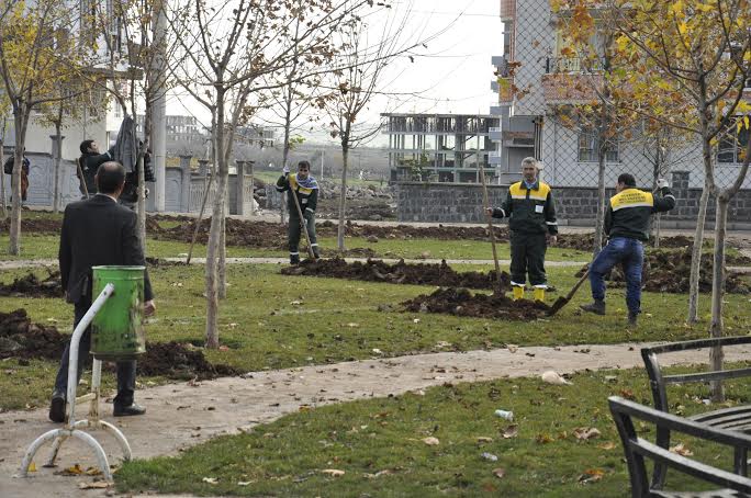 Siverek\'te yağmurlama sulama sistemleri inşa ediliyor