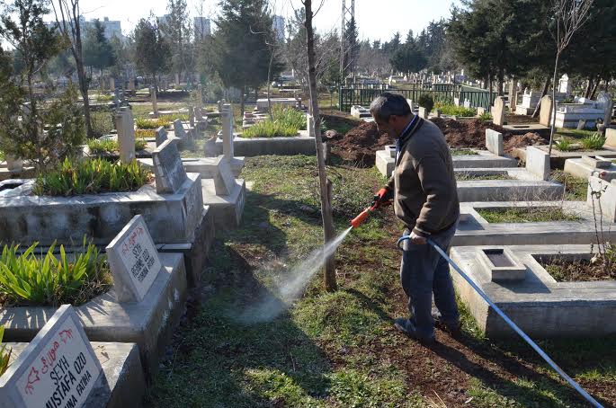 Siverek\'te mezarlıklar ilaçlanıyor